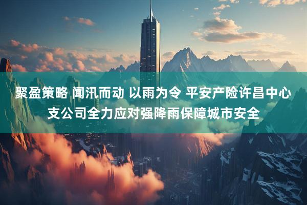 聚盈策略 闻汛而动 以雨为令 平安产险许昌中心支公司全力应对强降雨保障城市安全