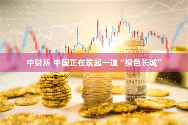 中财所 中国正在筑起一道“绿色长城”