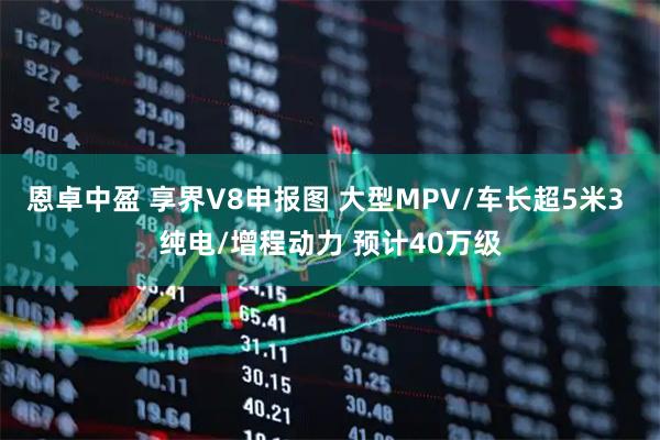 恩卓中盈 享界V8申报图 大型MPV/车长超5米3 纯电/增程动力 预计40万级